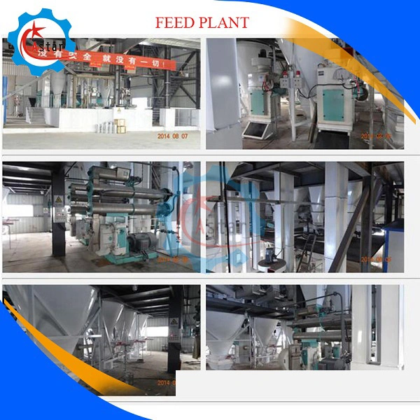 Full Automatic Cattle Livestock Poultry Cow Chicken Feed Pellet Production Plant